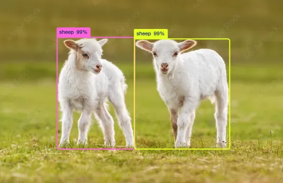 Object detection in agriculture