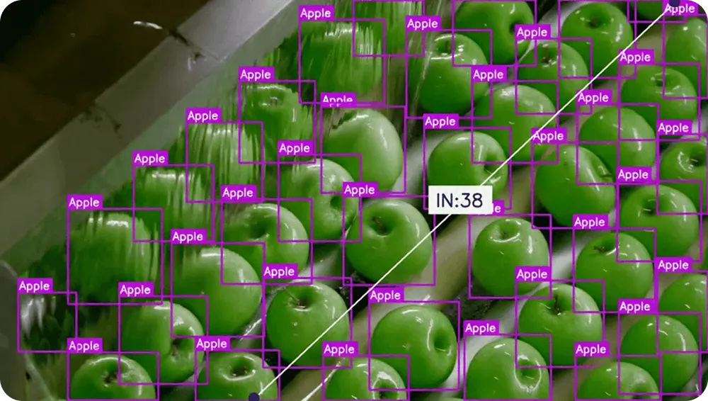 Apple counting using Spectra